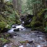 Schroeder Creek